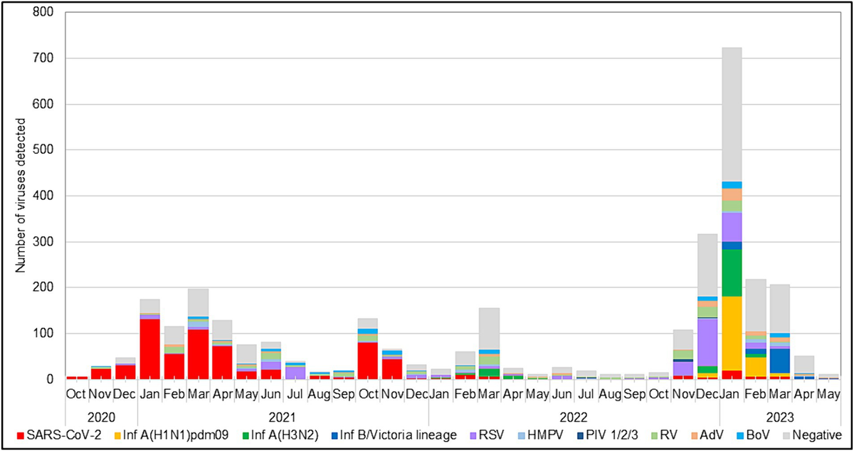 The Challenge of Finding RS Virus Børn Treatment Details Online